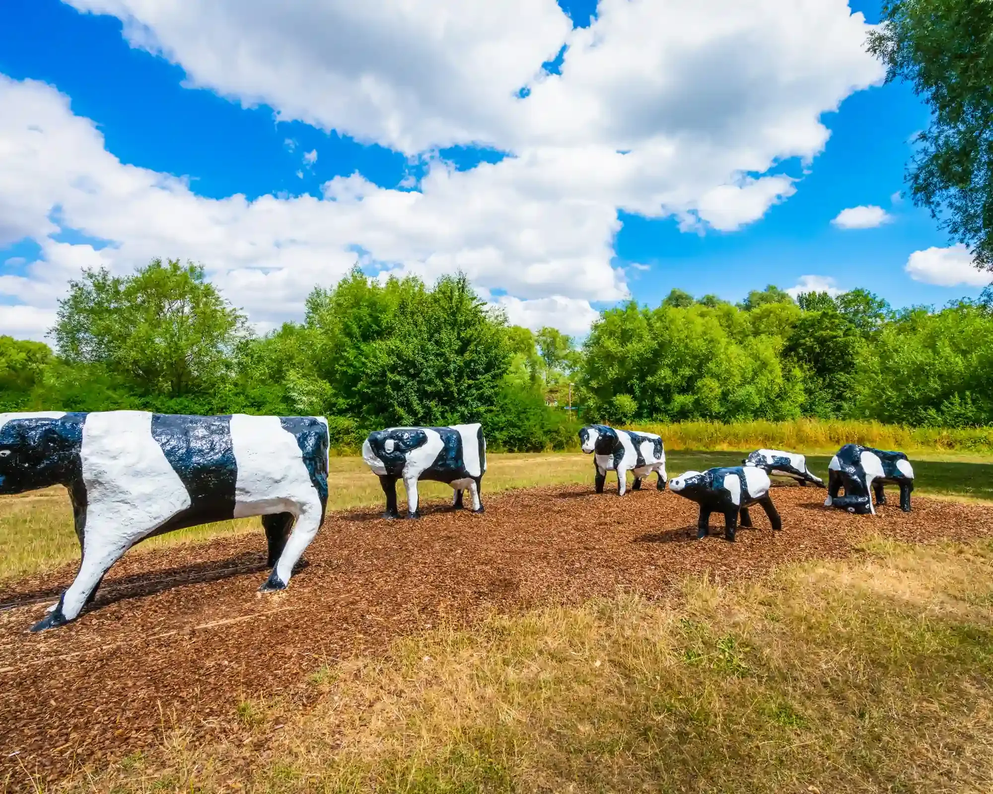 The Concrete Cows sculpture in Milton Keynes, a well-known local landmark