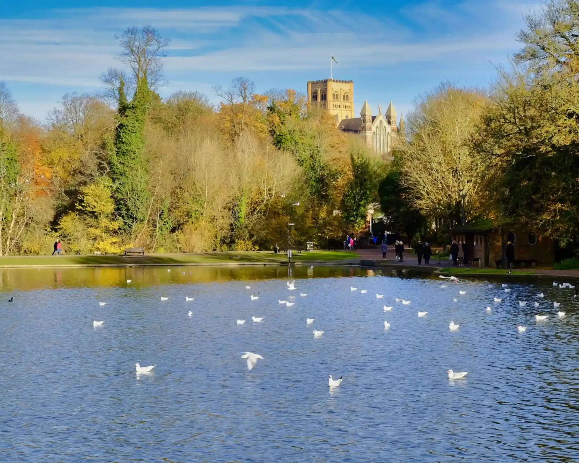 St Albans Cathedral rising above autumn trees, seen across the lake in Verulamium Park.